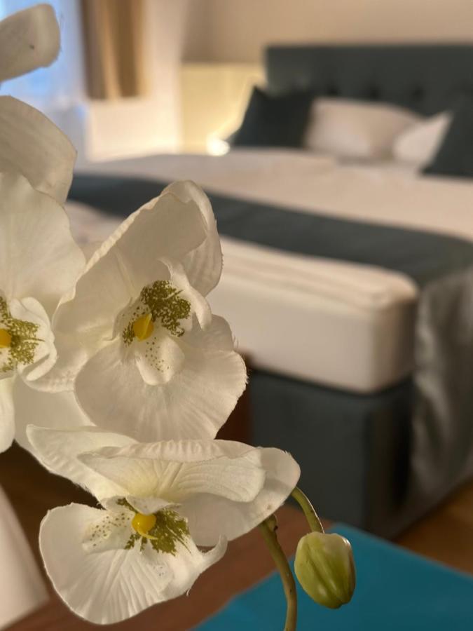 Home Sweet Apartments - A Cozy Welcome Vídeň Exteriér fotografie